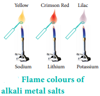 Alkali Metals img 5