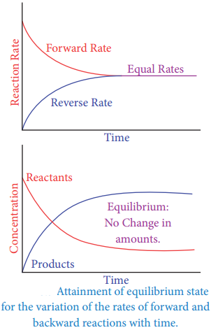 Chemical Equilibrium img 1