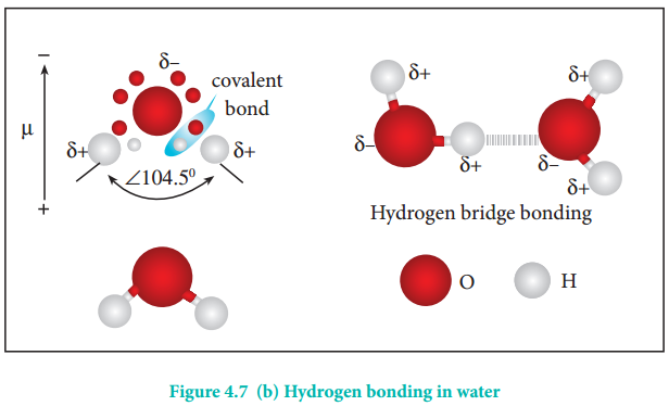 Hydrogen Bonding img 3