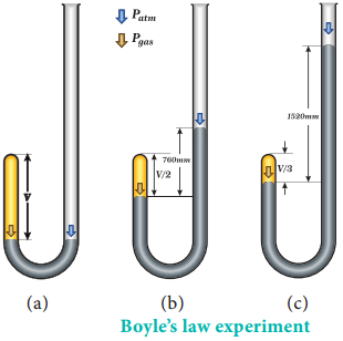 The Gas Laws img 2