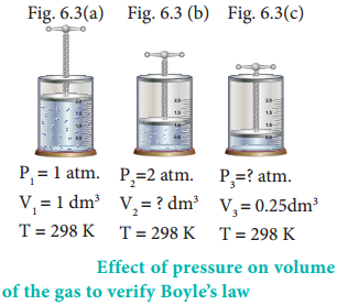 The Gas Laws img 5