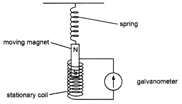 CBSE Sample Papers for Class 10 Science Term 2 Set 1 with Solutions IMG 12