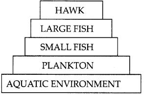 CBSE Sample Papers for Class 10 Science Term 2 Set 1 with Solutions IMG 5