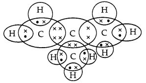 CBSE Sample Papers for Class 10 Science Term 2 Set 1 with Solutions IMG 7