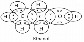 CBSE Sample Papers for Class 10 Science Term 2 Set 1 with Solutions IMG 8