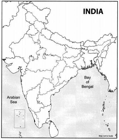 CBSE Sample Papers for Class 10 Science Term 2 Set 2 with Solutions 2