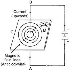 CBSE Sample Papers for Class 10 Science Term 2 Set 5 with Solutions-4