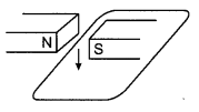 CBSE Sample Papers for Class 10 Science Term 2 Set 5 with Solutions IMG 2