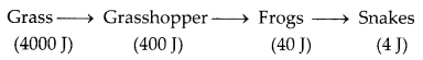 CBSE Sample Papers for Class 10 Science Term 2 Set 7 with Solutions IMG 1