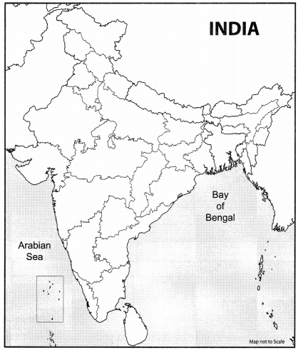 CBSE Sample Papers for Class 10 Social Science Term 2 Set 4 with Solutions IMG 1