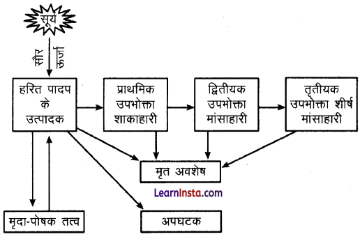 Class 11 Geography Chapter 15 Question Answer in Hindi पृथ्वी पर जीवन 3