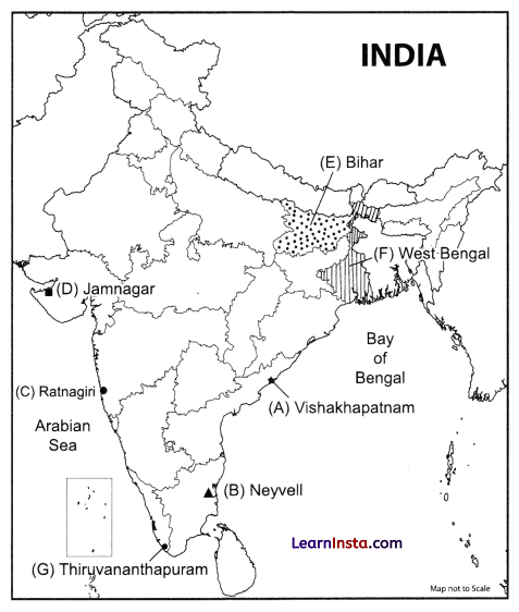 CBSE Sample Papers for Class 12 Geography Set 1 with Solutions 5
