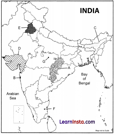 CBSE Sample Papers for Class 12 Geography Set 2 with Solutions 2