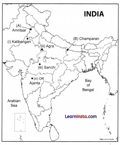 CBSE Sample Papers for Class 12 History Set 1 with Solutions 2