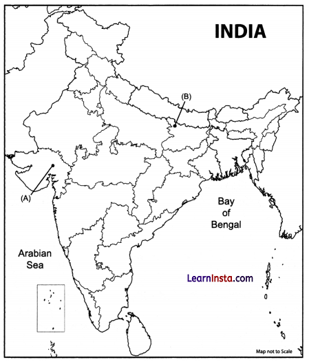 CBSE Sample Papers for Class 12 History Set 5 with Solutions 1