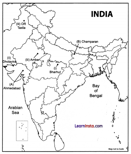 CBSE Sample Papers for Class 12 History Set 5 with Solutions 2