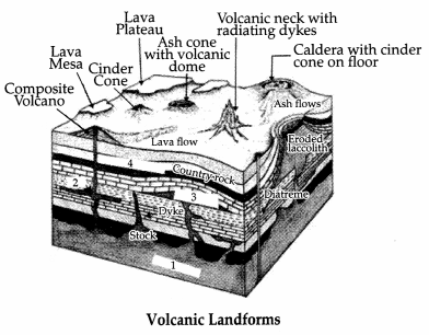 CBSE Sample Papers for Class 11 Geography Set 2 with Solutions 2