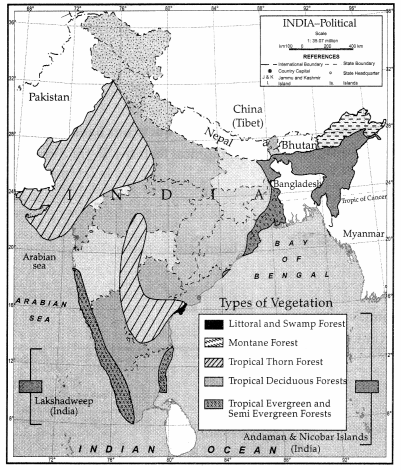 CBSE Sample Papers for Class 11 Geography Set 3 with Solutions 3