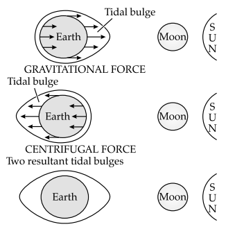 CBSE Sample Papers for Class 11 Geography Set 4 with Solutions 5