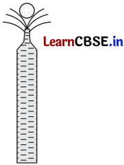 CBSE Sample Papers for Class 11 Physics Set 1 with Solutions 12