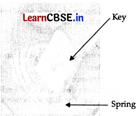 CBSE Sample Papers for Class 11 Physics Set 4 with Solutions 3