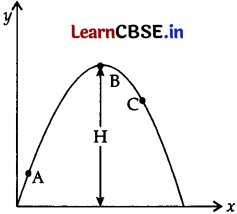 CBSE Sample Papers for Class 11 Physics Set 4 with Solutions 5