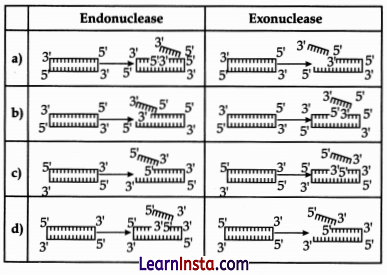 CBSE Sample Papers for Class 12 Biology Set 1 with Solutions 2