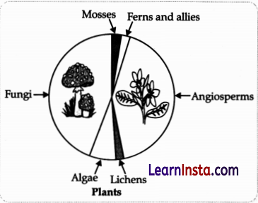 CBSE Sample Papers for Class 12 Biology Set 4 with Solutions 10