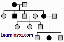 CBSE Sample Papers for Class 12 Biology Set 5 with Solutions 2