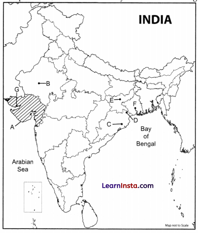 CBSE Sample Papers for Class 12 Geography Set 4 with Solutions 2
