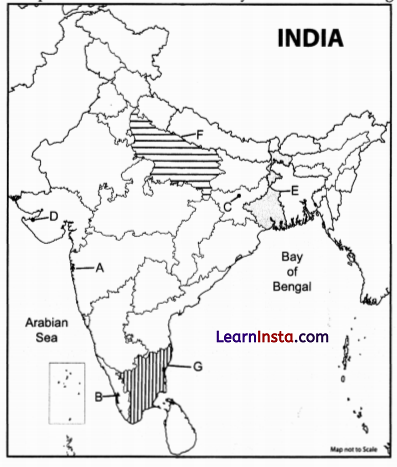 CBSE Sample Papers for Class 12 Geography Set 5 with Solutions 2