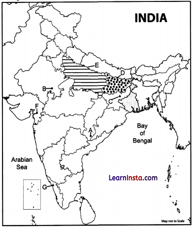 CBSE Sample Papers for Class 12 Geography Set 6 with Solutions 2