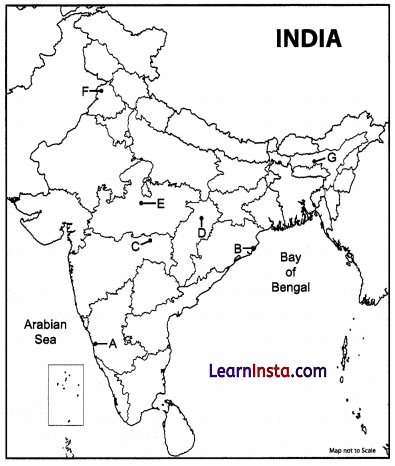 CBSE Sample Papers for Class 12 Geography Set 7 with Solutions 2