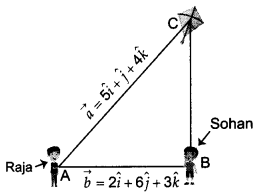 CBSE Sample Papers for Class 12 Maths Set 3 with Solutions 32