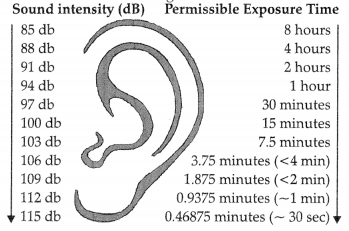 CBSE Sample Papers for Class 9 Science Set 3 with Solutions 2