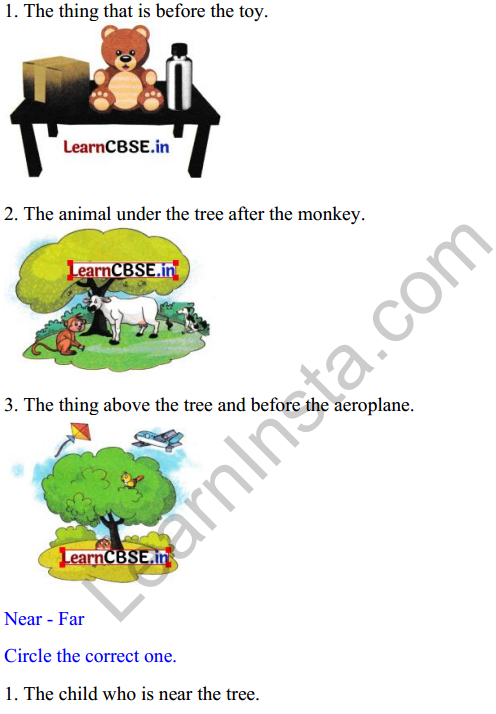 Joyful Class 1 Mathematics Worksheet Chapter 1 Finding the Furry Cat! (Pre-number Concepts) 11