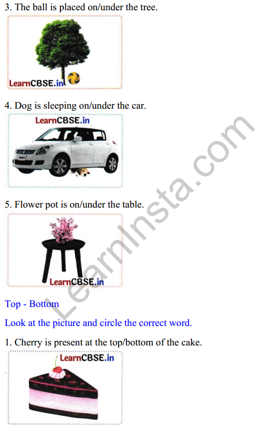 Joyful Class 1 Mathematics Worksheet Chapter 1 Finding the Furry Cat! (Pre-number Concepts) 6