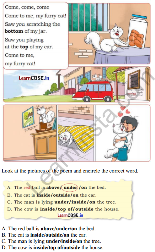 Joyful Mathematics Class 1 Solutions Chapter 1 Finding the Furry Cat! (Pre-number Concepts) 2