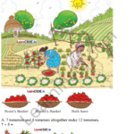 Joyful Mathematics Class 1 Solutions Chapter 6 Vegetable Farm (Addition and Subtraction up to 20) 1