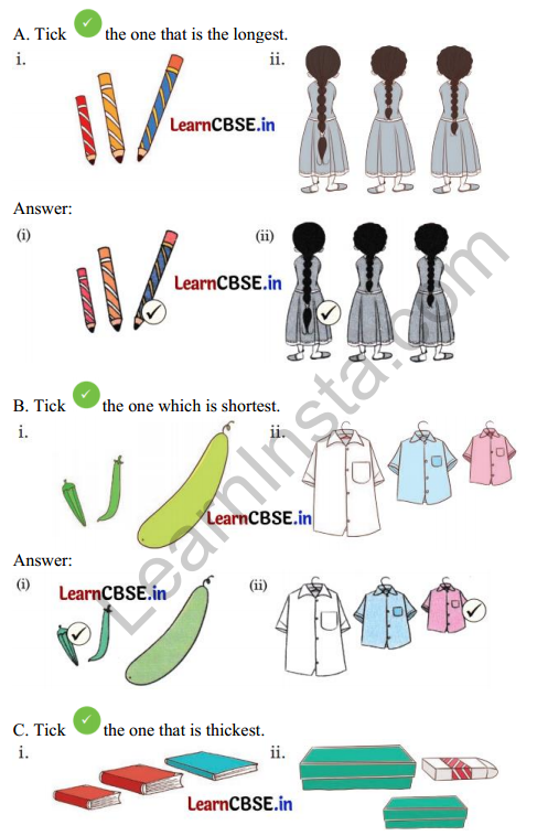 Joyful Mathematics Class 1 Solutions Chapter 7 Lina’s Family (Measurement) 2