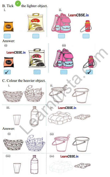 Joyful Mathematics Class 1 Solutions Chapter 7 Lina’s Family (Measurement) 8