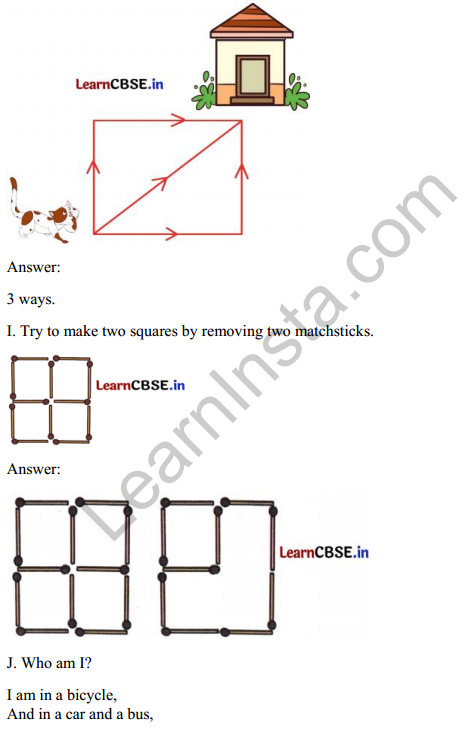 Joyful Mathematics Class 2 Solutions Chapter 11 Data Handling 17