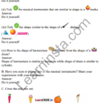 Joyful Mathematics Class 2 Solutions Chapter 2 Shapes Around Us (3D Shapes) 1