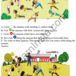 Joyful Mathematics Class 2 Solutions Chapter 5 Playing with Lines (Orientations of a Line) 1