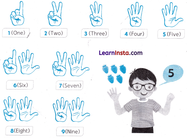 Mango Treat Class 1 Worksheet with Answers Maths Chapter 3 1