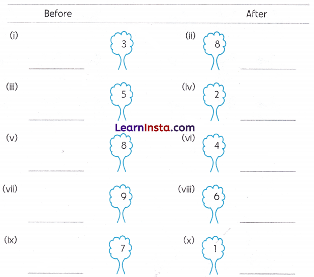 Mango Treat Class 1 Worksheet with Answers Maths Chapter 3 16