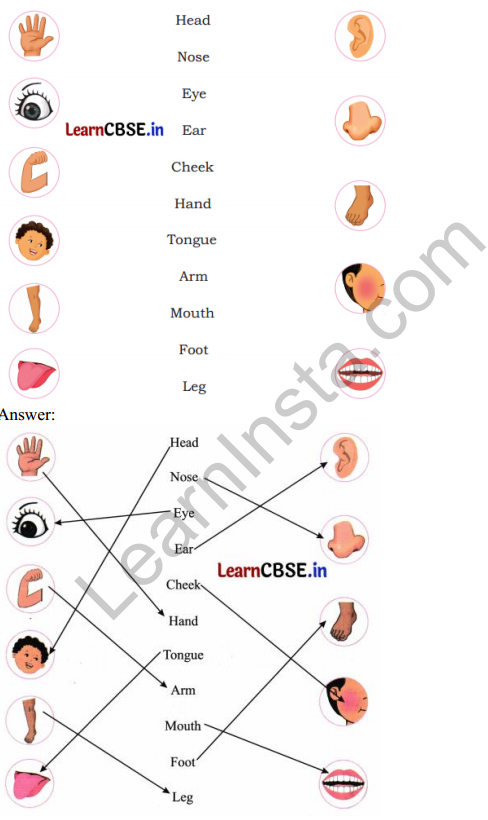 Mridang Class 1 English Solutions Chapter 1 Two Little Hands 2