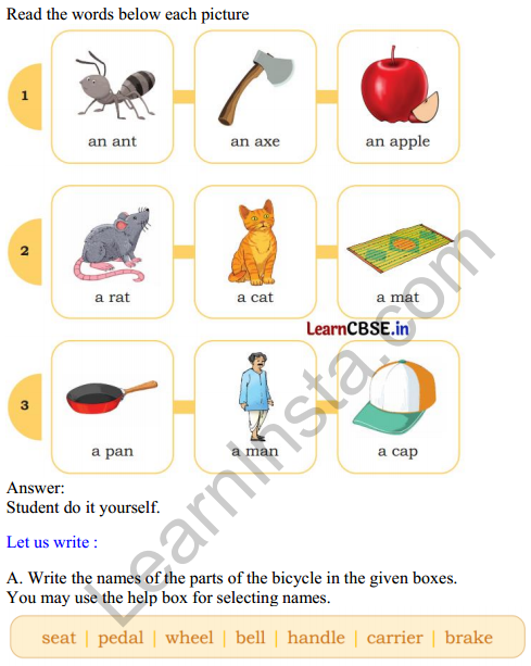 Mridang Class 2 English Solutions Chapter 1 My Bicycle 2