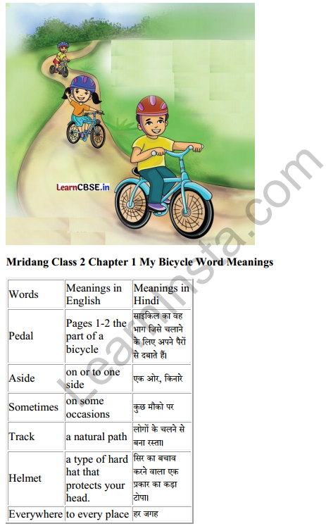 Mridang Class 2 English Solutions Chapter 1 My Bicycle 7