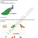 Mridang Class 2 English Solutions Chapter 10 The Crow 1